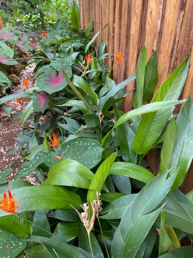Finca Avellanas Lorena Eksteriør bilde