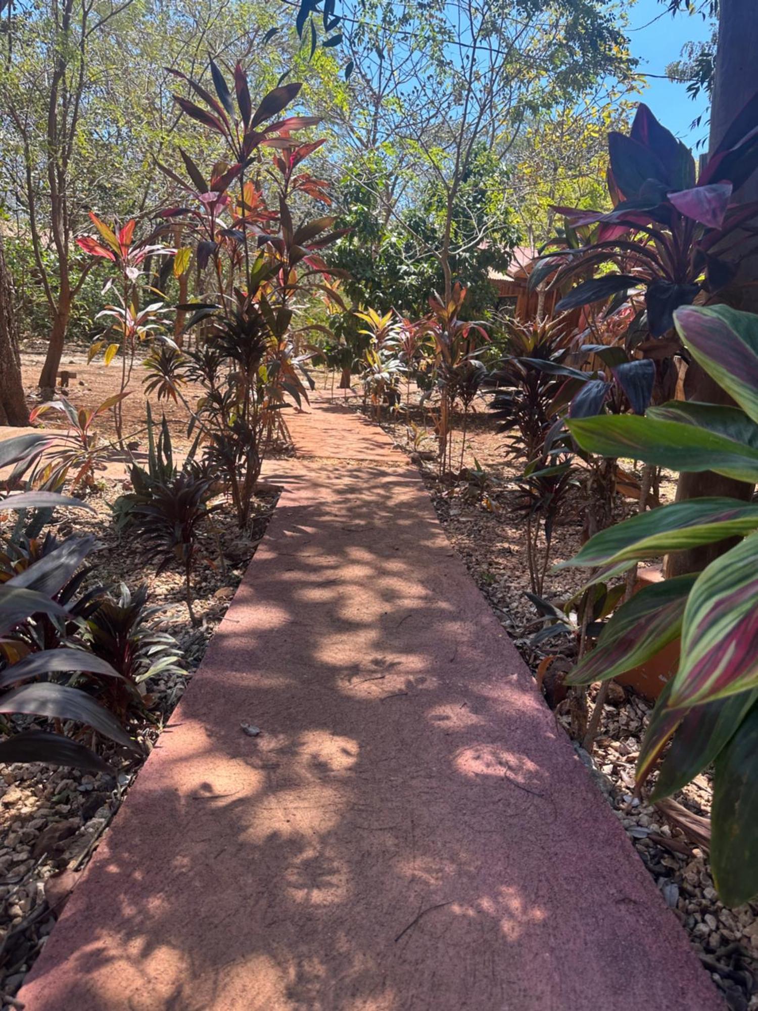 Finca Avellanas Lorena Eksteriør bilde