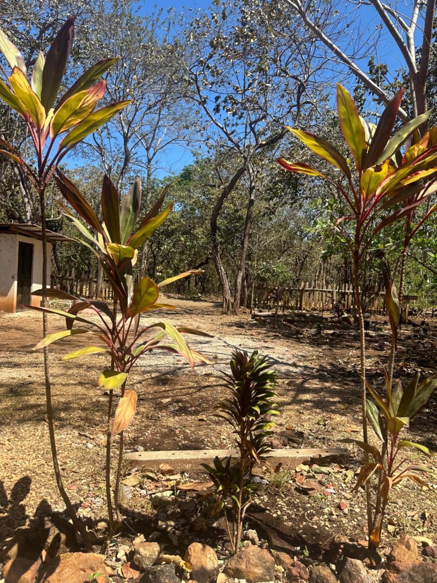 Finca Avellanas Lorena Eksteriør bilde