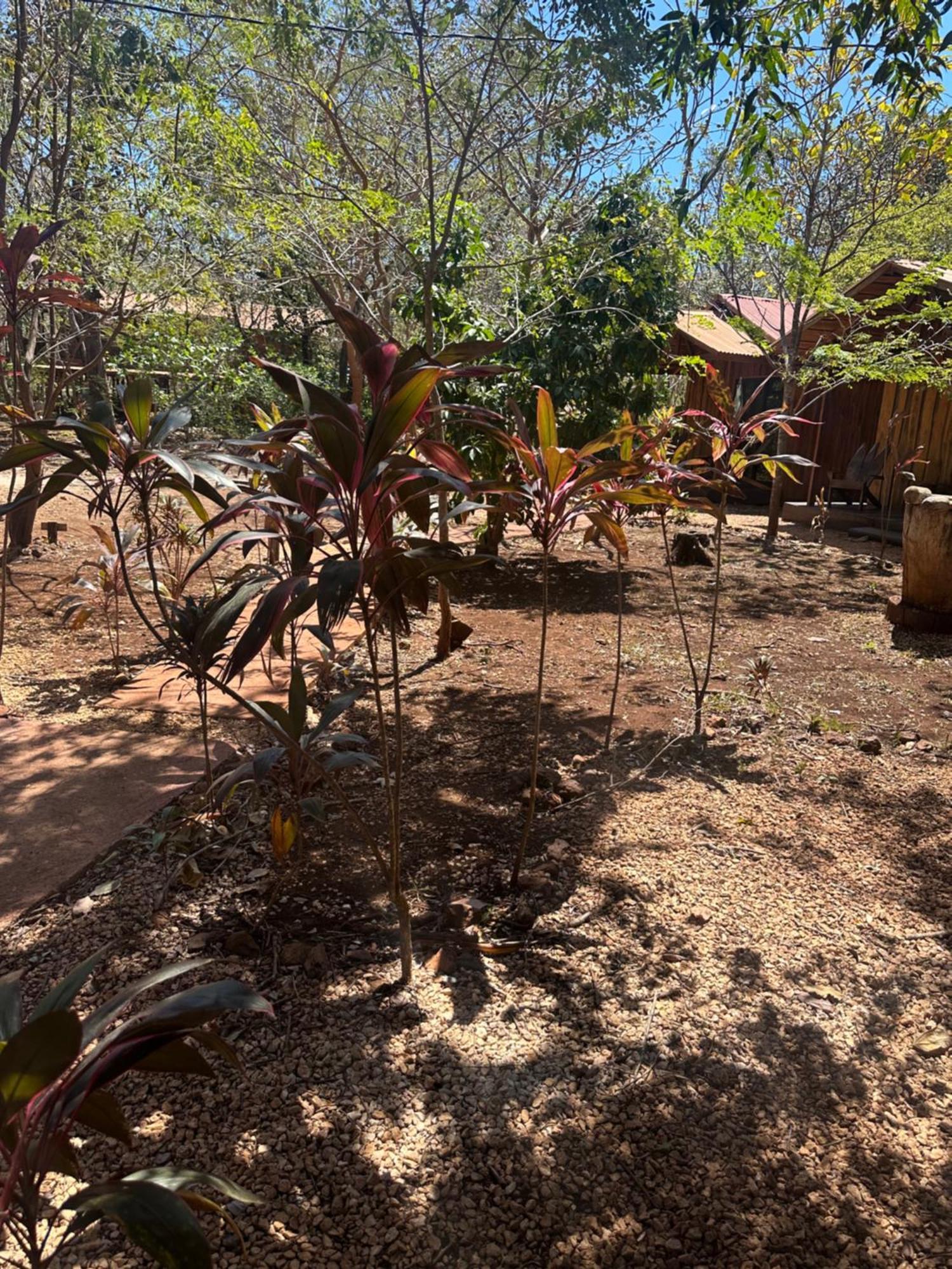 Finca Avellanas Lorena Eksteriør bilde