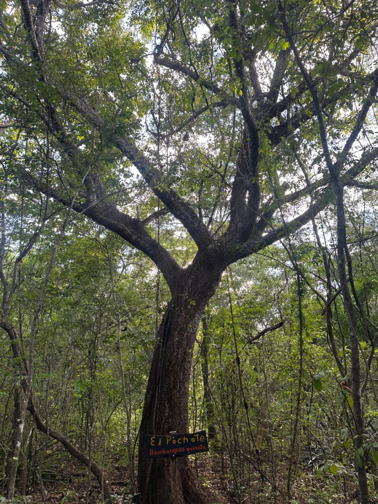 Finca Avellanas Lorena Eksteriør bilde