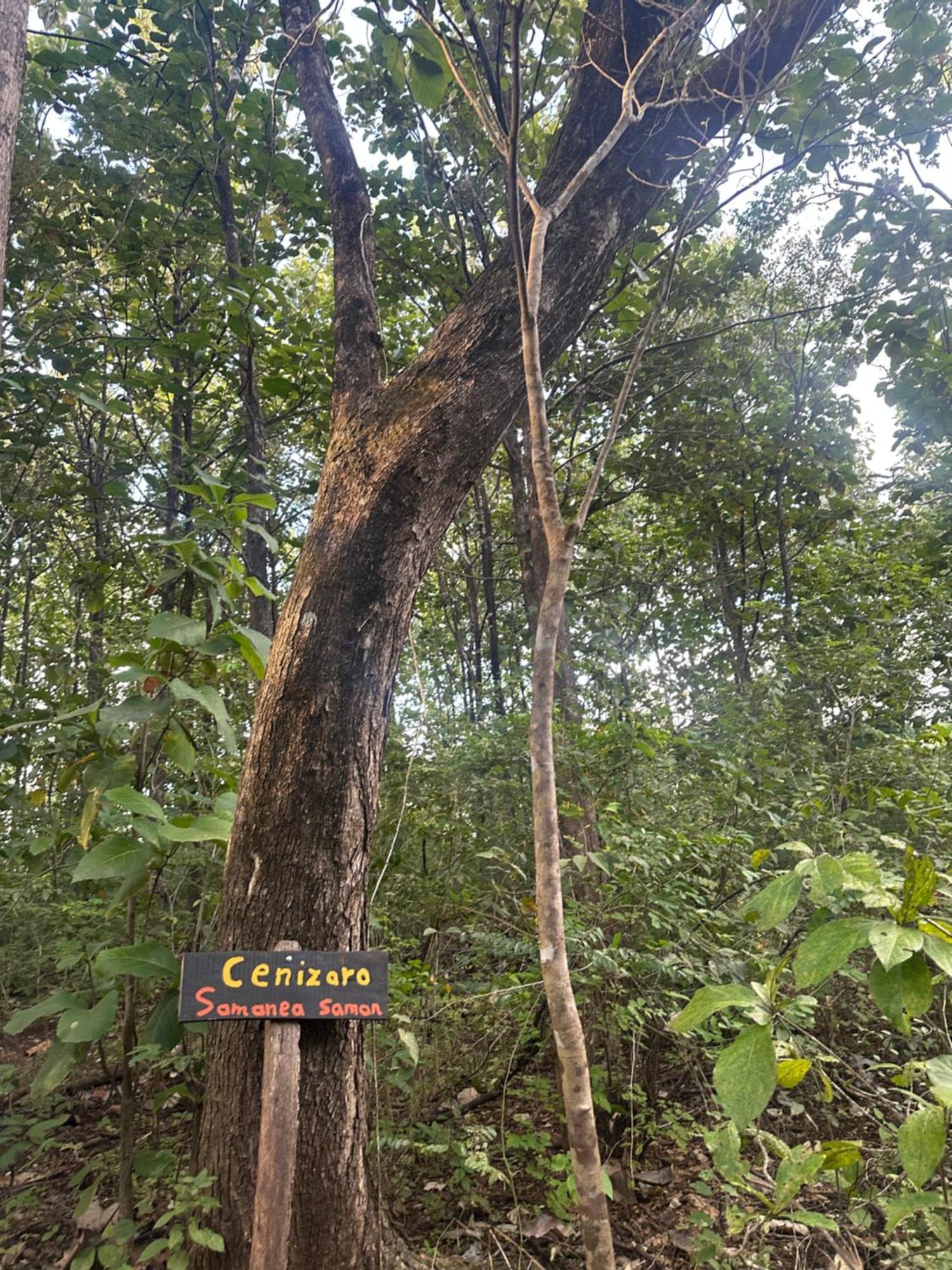 Finca Avellanas Lorena Eksteriør bilde